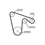 Gates Balance Shaft Belt 5620XS