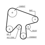 Gates Timing Belt 5630XS