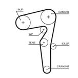 Gates Timing Belt 5646XS
