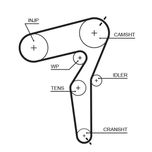 Gates Timing Belt 5650XS