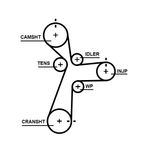 Gates Timing Belt 5696XS