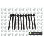 BGA Cylinder Head Bolts BK0100