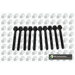 BGA Cylinder Head Bolts BK0102