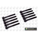 BGA Cylinder Head Bolts BK0160