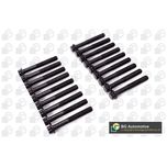 BGA Cylinder Head Bolts BK0170