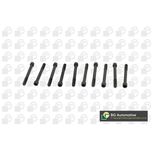 BGA Cylinder Head Bolts BK1202