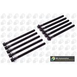 BGA Cylinder Head Bolts BK2310