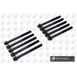 BGA Cylinder Head Bolts BK2318