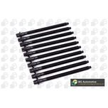 BGA Cylinder Head Bolts BK2332