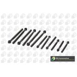 BGA Cylinder Head Bolts BK2338