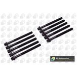 BGA Cylinder Head Bolts BK2339