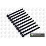 BGA Cylinder Head Bolts BK2359