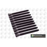 BGA Cylinder Head Bolts BK2378