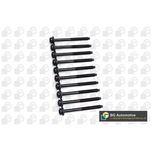BGA Cylinder Head Bolts BK2394