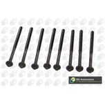 BGA Cylinder Head Bolts BK3327