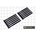 BGA Cylinder Head Bolts BK3345