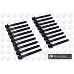 BGA Cylinder Head Bolts BK3353