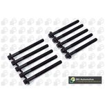 BGA Cylinder Head Bolts BK3357