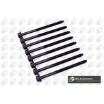 BGA Cylinder Head Bolts BK3362