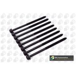 BGA Cylinder Head Bolts BK3365
