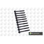 BGA Cylinder Head Bolts BK3370