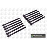 BGA Cylinder Head Bolts BK3375