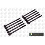 BGA Cylinder Head Bolts BK3376