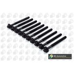 BGA Cylinder Head Bolts BK3381