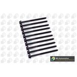 BGA Cylinder Head Bolts BK4301