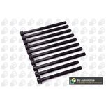 BGA Cylinder Head Bolts BK4302