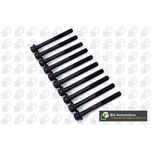 BGA Cylinder Head Bolts BK4303