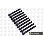 BGA Cylinder Head Bolts BK4304