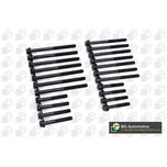 BGA Cylinder Head Bolts BK4307