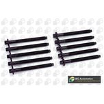 BGA Cylinder Head Bolts BK4334