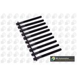 BGA Cylinder Head Bolts BK4338