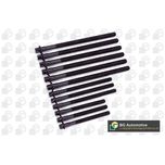 BGA Cylinder Head Bolts BK4340