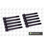 BGA Cylinder Head Bolts BK4348