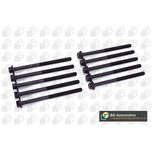BGA Cylinder Head Bolts BK4349