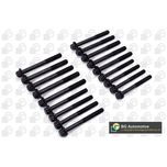 BGA Cylinder Head Bolts BK4351