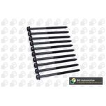BGA Cylinder Head Bolts BK4380