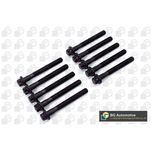 BGA Cylinder Head Bolts BK4382