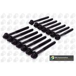 BGA Cylinder Head Bolts BK5316