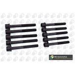 BGA Cylinder Head Bolts BK5320