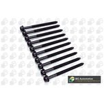 BGA Cylinder Head Bolts BK5323