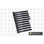 BGA Cylinder Head Bolts BK5334
