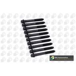 BGA Cylinder Head Bolts BK5335