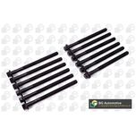 BGA Cylinder Head Bolts BK5341