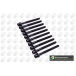 BGA Cylinder Head Bolts BK5346
