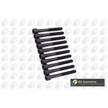 BGA Cylinder Head Bolts BK5376