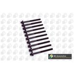 BGA Cylinder Head Bolts BK5383